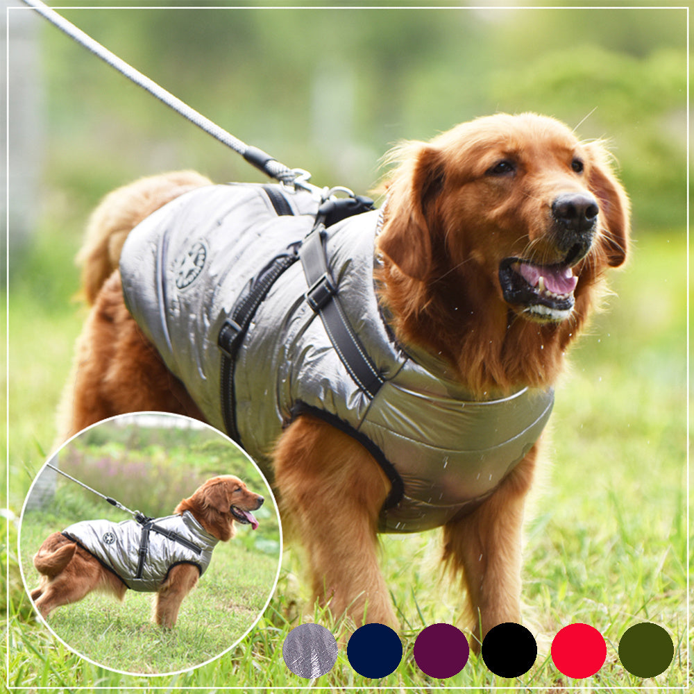 PawShield™ Winter Coat