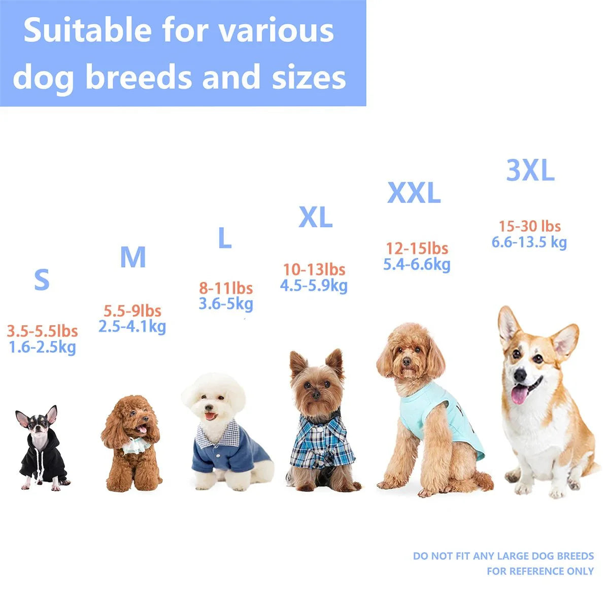 Athletic Striped Dog Shirt
