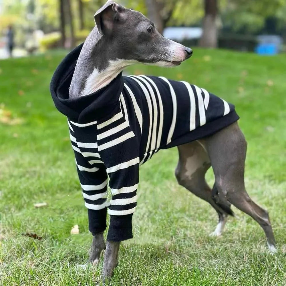 Black-White Striped Hooded Shirt