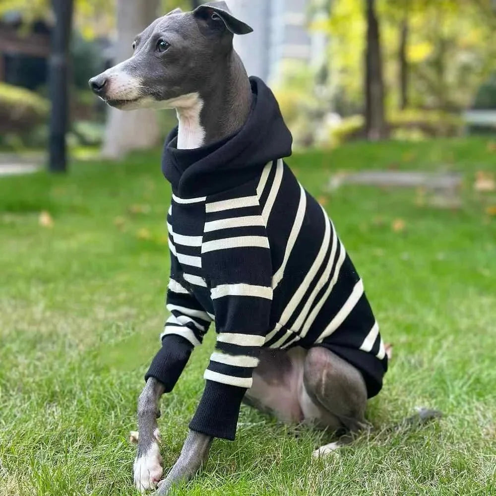Black-White Striped Hooded Shirt