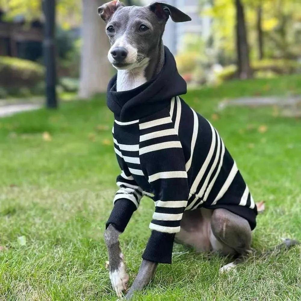 Black-White Striped Hooded Shirt