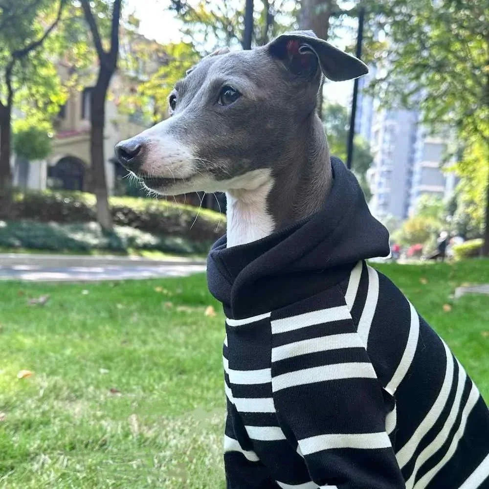 Black-White Striped Hooded Shirt