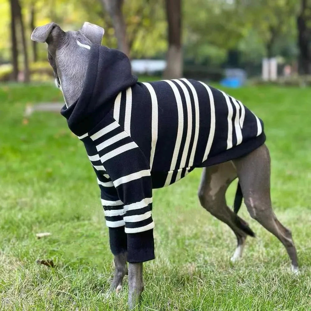 Black-White Striped Hooded Shirt