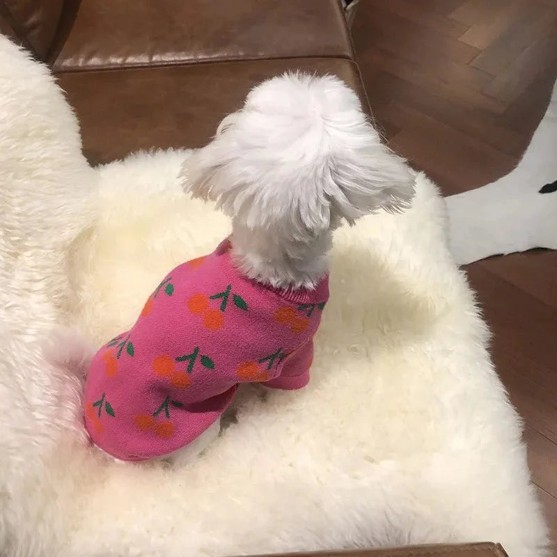 Cherry High Collar Dog Sweater
