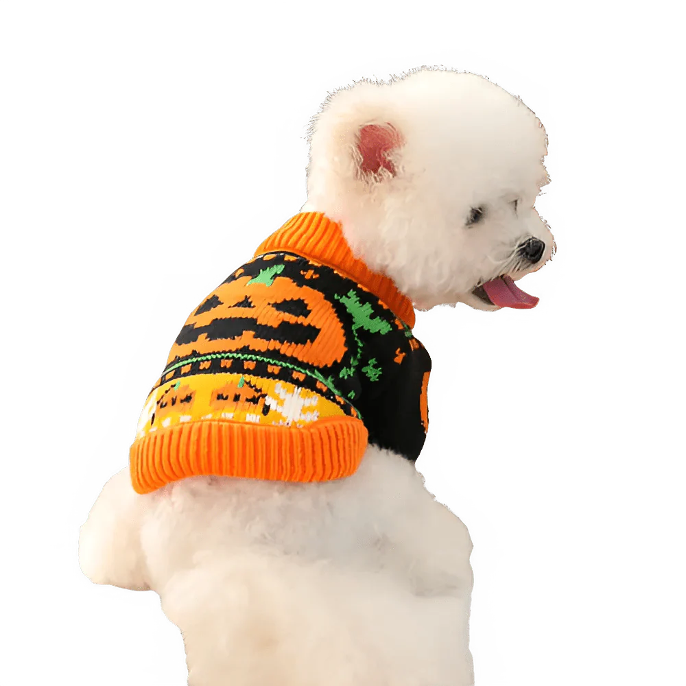 Cute Pumpkin Halloween Sweater for Pets