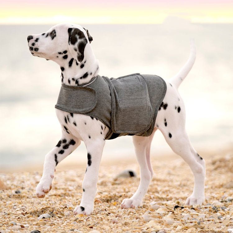 Comfort Anxiety Vest