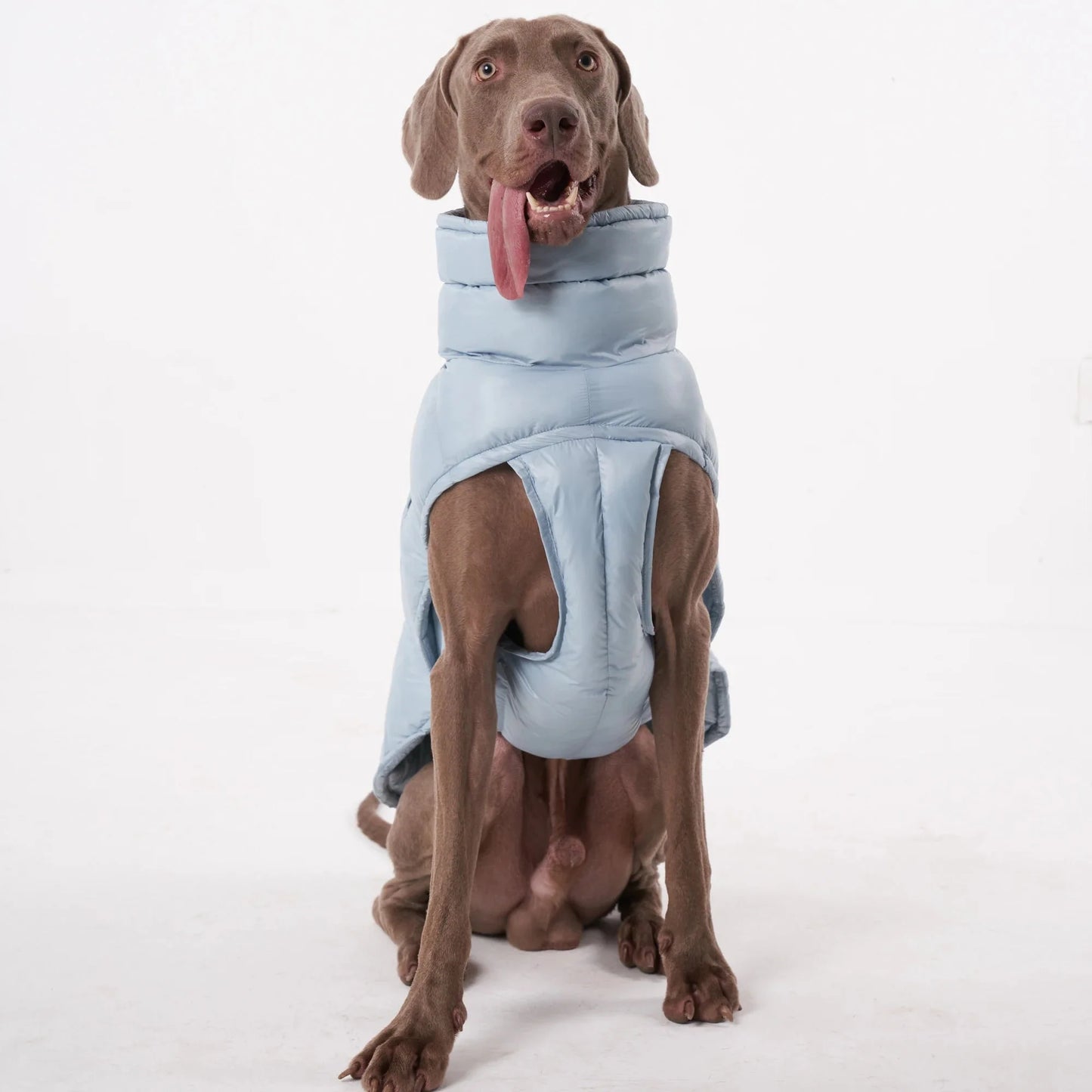 Lightweight Warm Dog Puffer Vest
