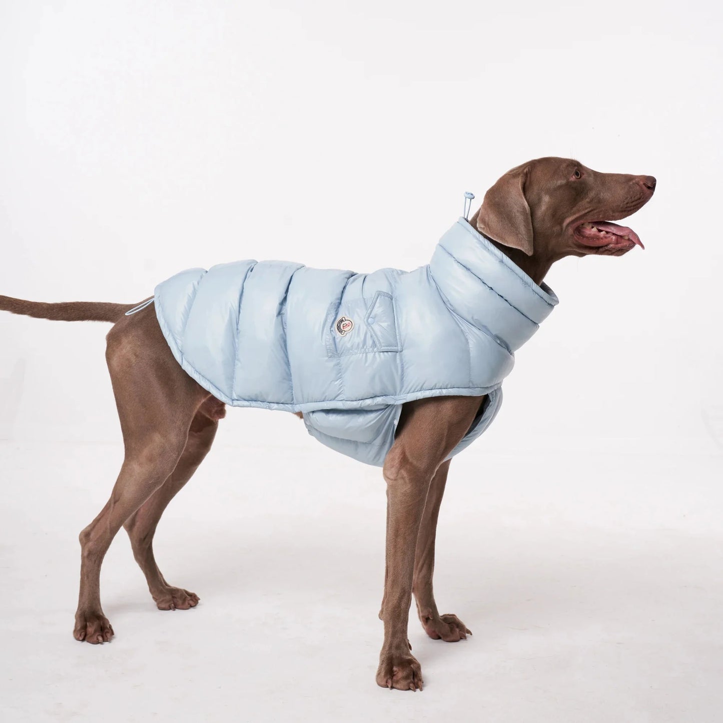 Lightweight Warm Dog Puffer Vest