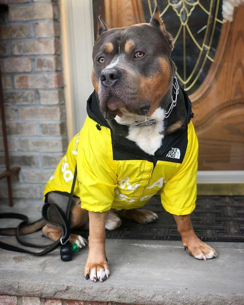 Windbreaker Waterproof Dog Jacket