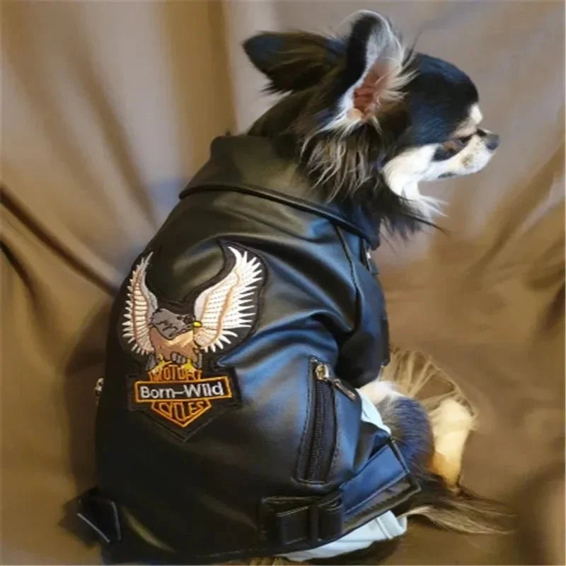 Glorious Eagle Pattern Waterproof Jacket