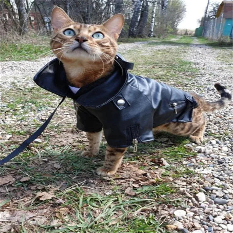 Glorious Eagle Pattern Waterproof Jacket