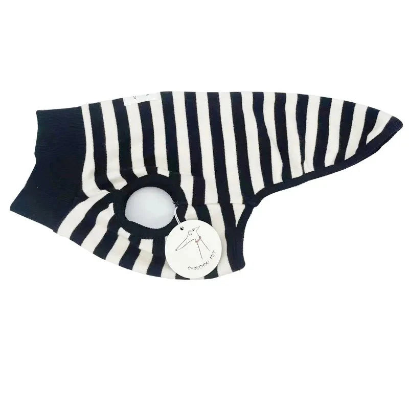Italian Greyhound Striped Shirt