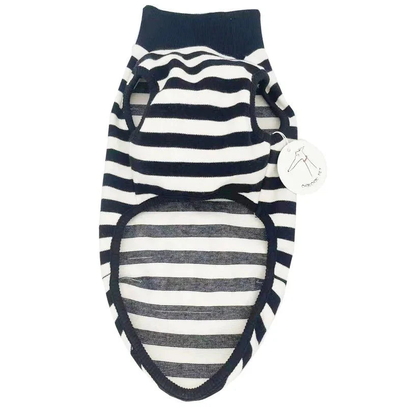 Italian Greyhound Striped Shirt