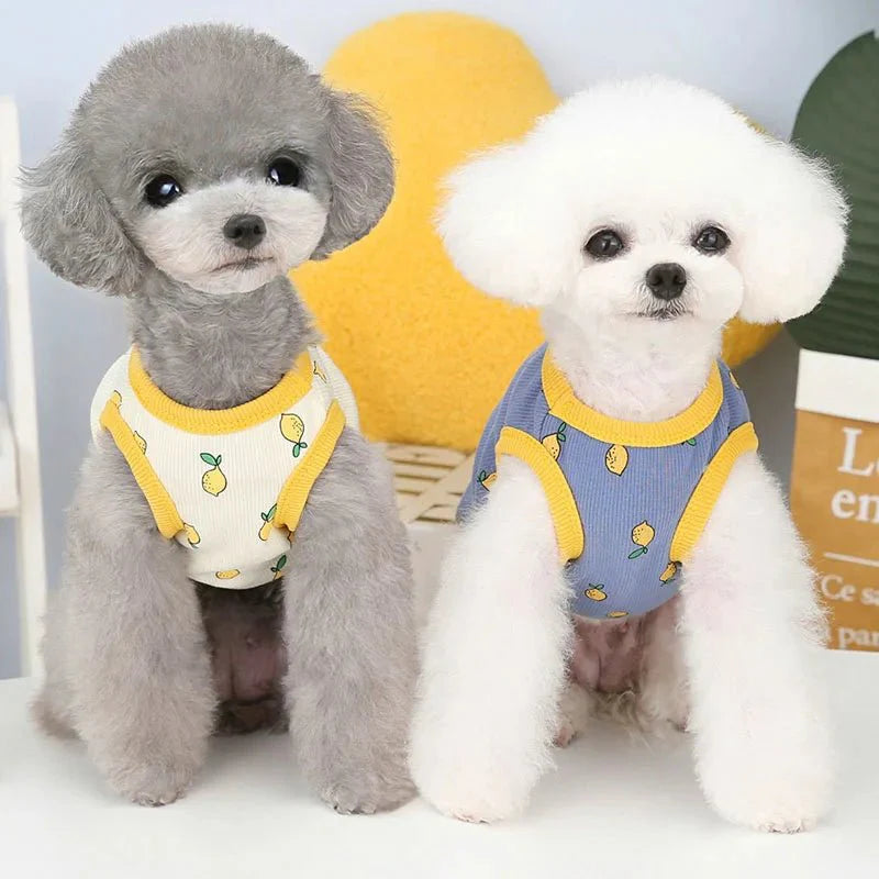 Lemon Pattern Summer Dog Vest