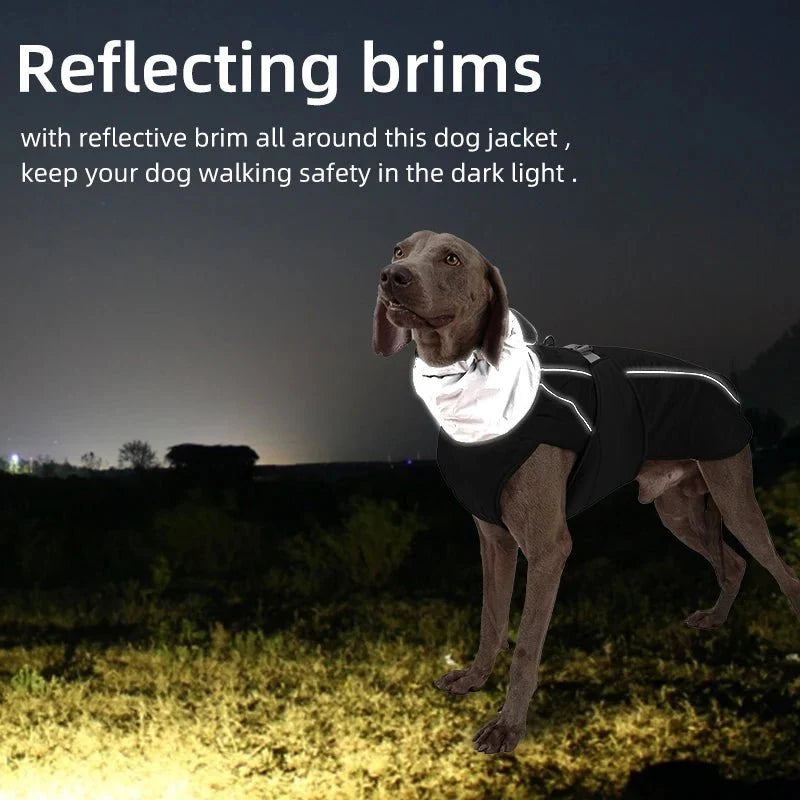 Luxury Reflective Winter Dog Jacket