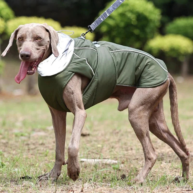 Luxury Reflective Winter Dog Jacket