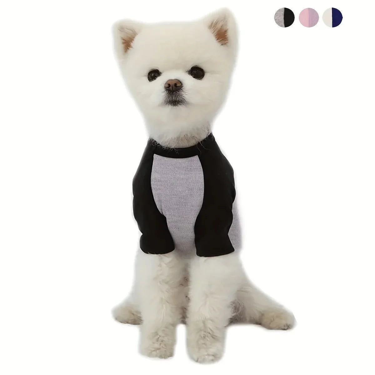 Multicolored Dog Shirt