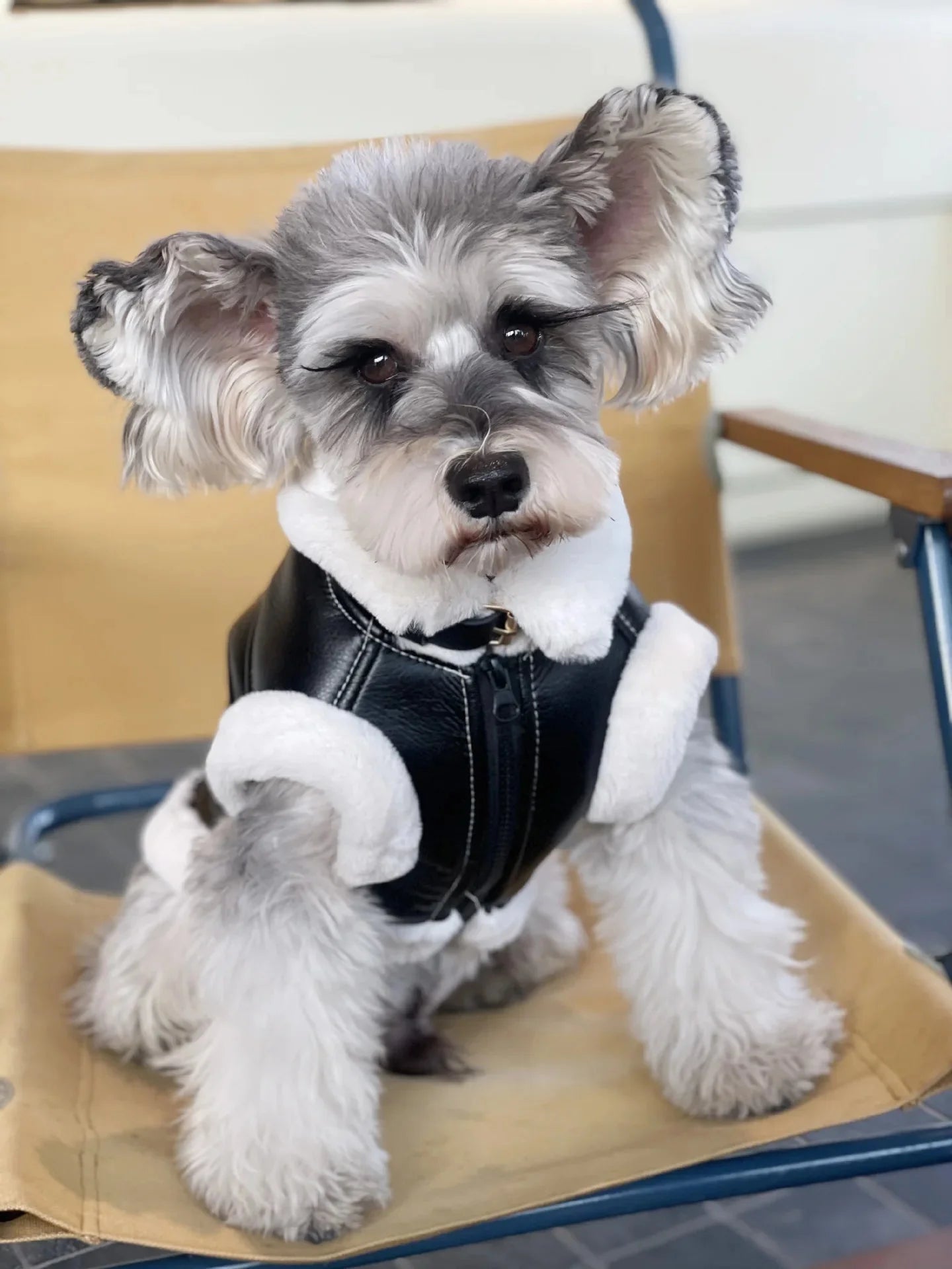 Velvet Sleeveless Pet Vest