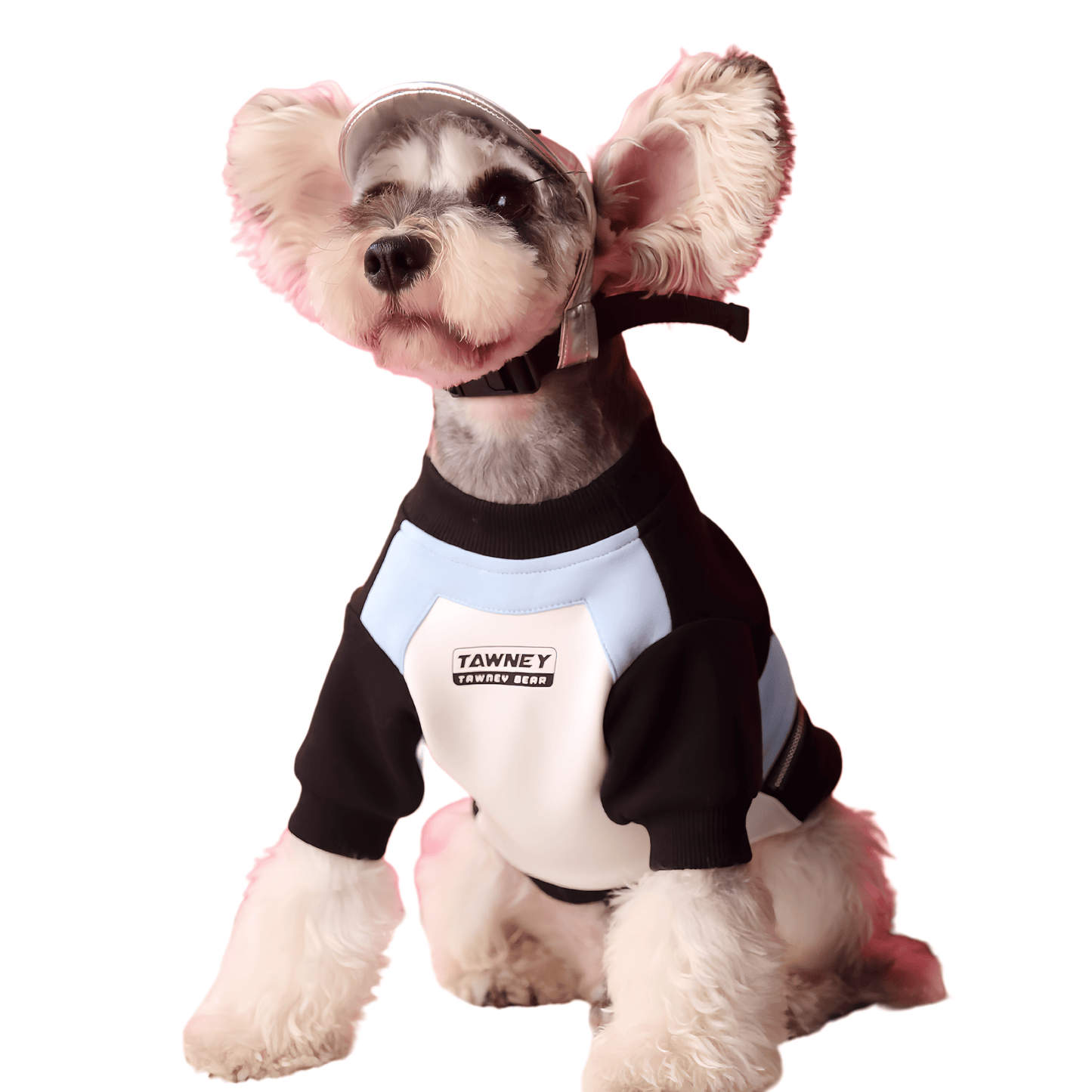 Stitching Zipper Dog Sweatshirt