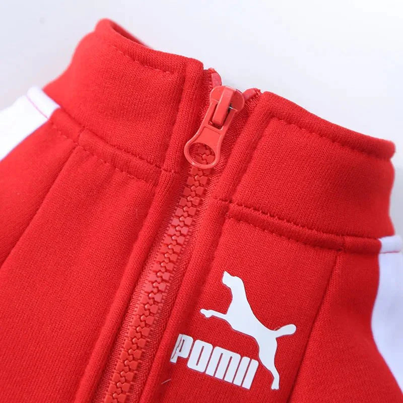 Stylish Baseball Dog Jacket for Winter Wear
