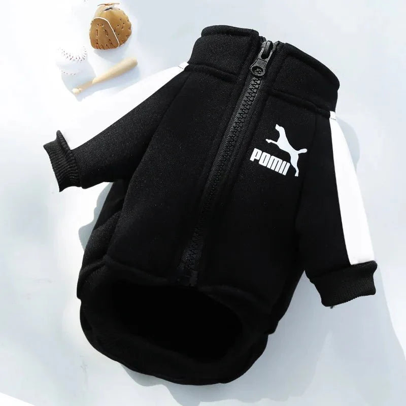 Stylish Baseball Dog Jacket for Winter Wear
