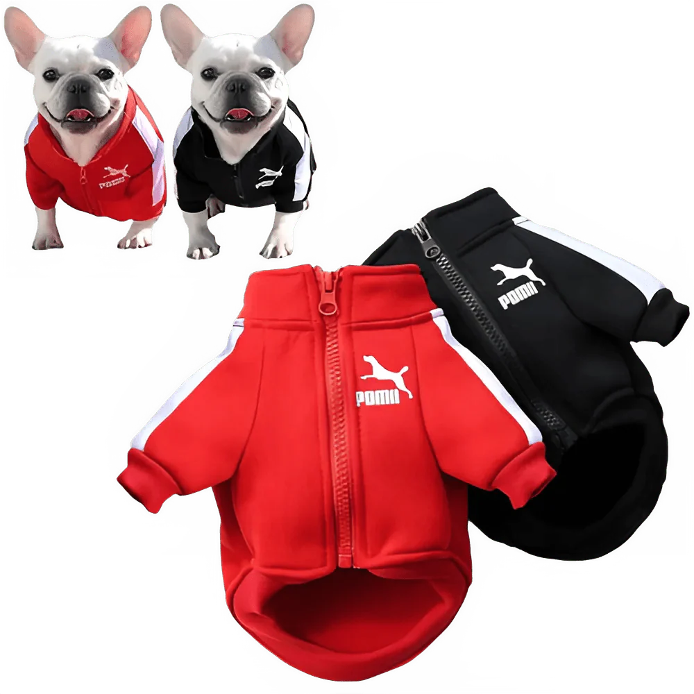 Stylish Baseball Dog Jacket for Winter Wear