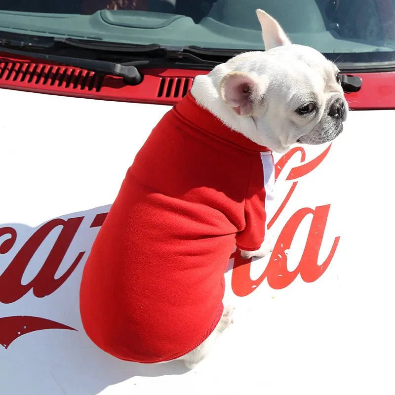 Stylish Baseball Dog Jacket for Winter Wear