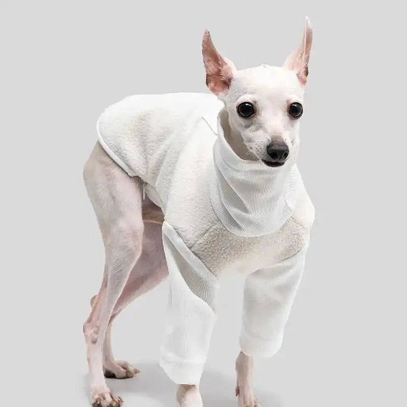 Warm Berber Fleece Jacket with High Neck