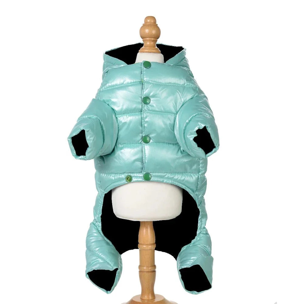 Winter Dog Jacket for Small Breeds