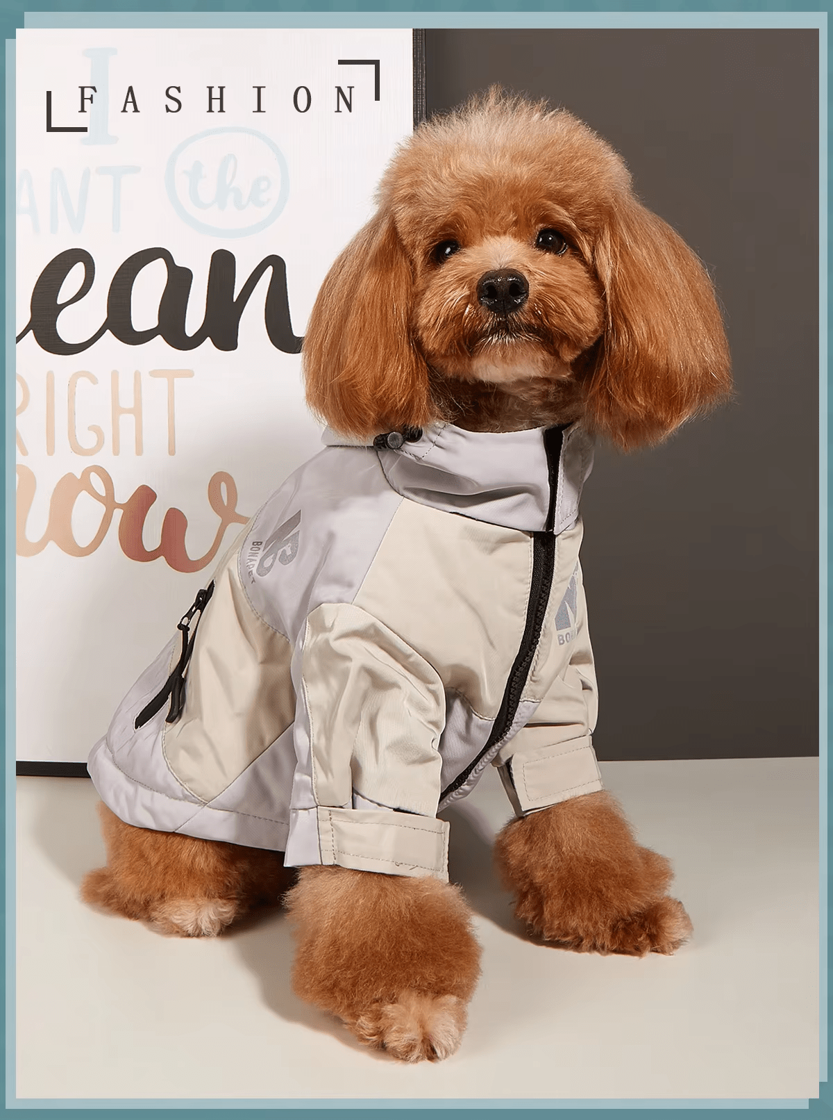 Bonapet Waterproof Dog Jacket