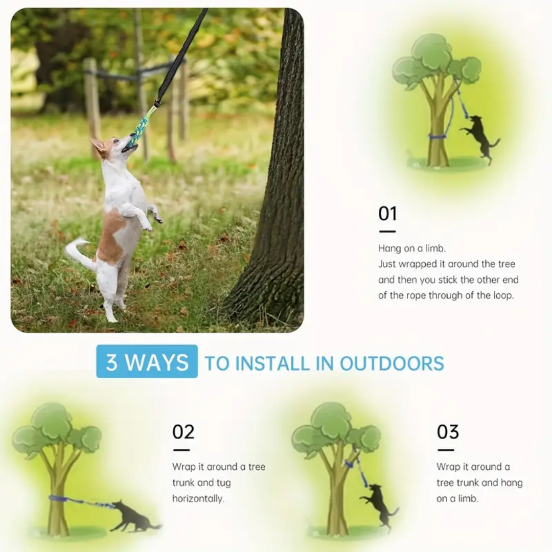DogJoy Trio ™ Bungee Tug