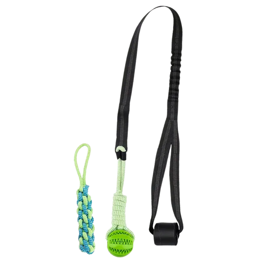 DogJoy Trio ™ Bungee Tug
