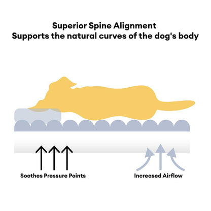 Large Soft Supportive Headrest Orthopedic Dog Sofa Bed - Cloudy Napper