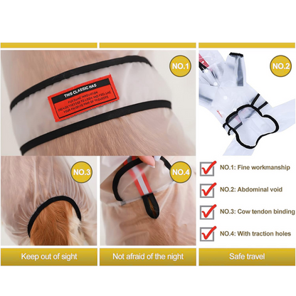 Large dogs go out waterproof raincoat