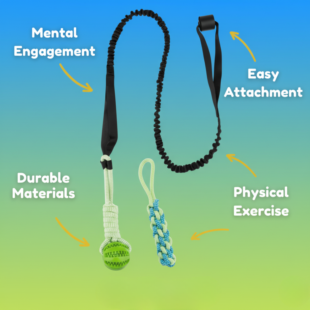DogJoy Trio ™ Bungee Tug