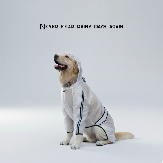 Large dogs go out waterproof raincoat