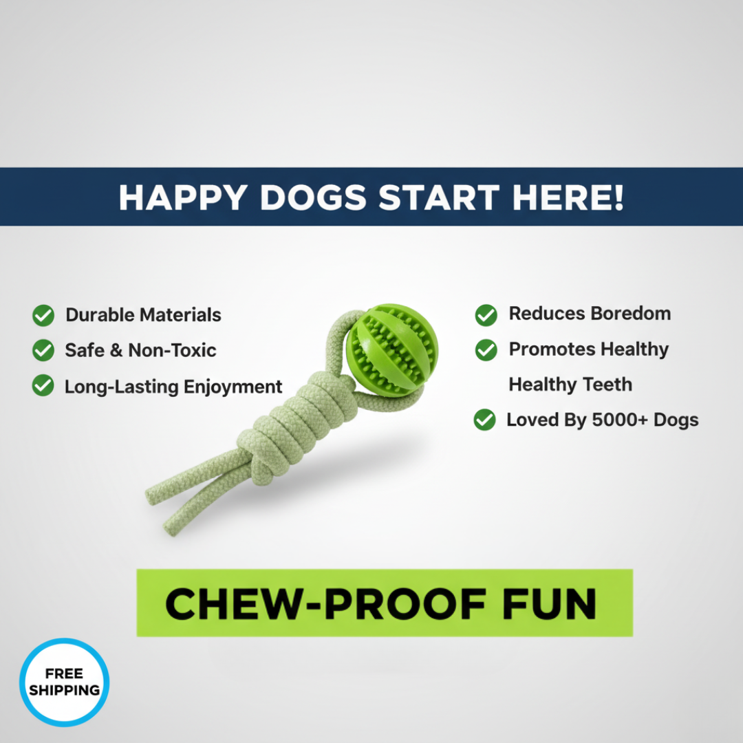 DogJoy Trio ™ Bungee Tug