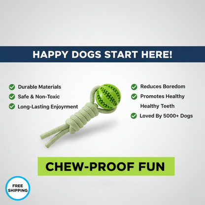 DogJoy Trio ™ Bungee Tug