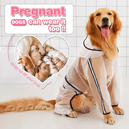 Large dogs go out waterproof raincoat