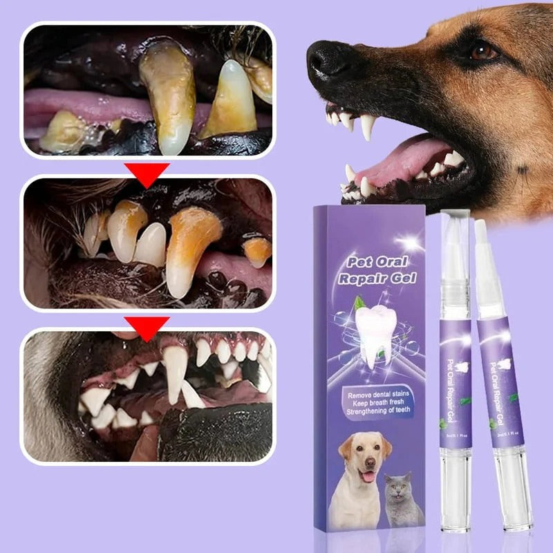 OralPet Pro