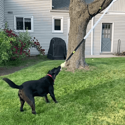 DogJoy Trio ™ Bungee Tug