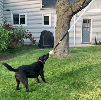 DogJoy Trio ™ Bungee Tug