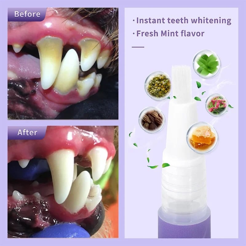 OralPet Pro