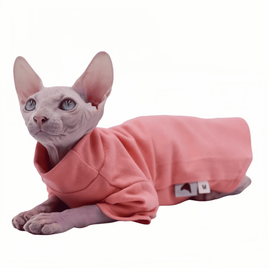 All SeasonPure Comfort Cotton Turtleneck Shirt
