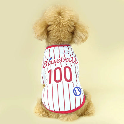 Athletic Striped Dog Shirt