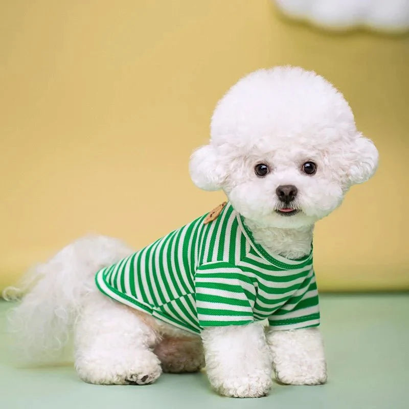Bear Print Summer Dog Shirt