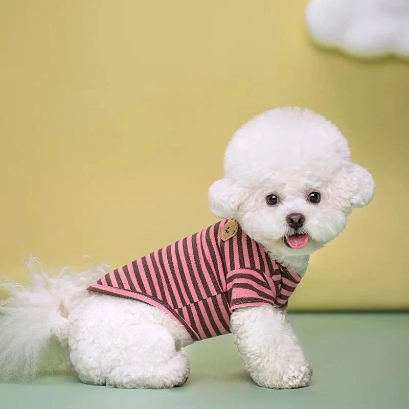 Bear Print Summer Dog Shirt