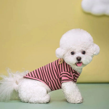 Bear Print Summer Dog Shirt