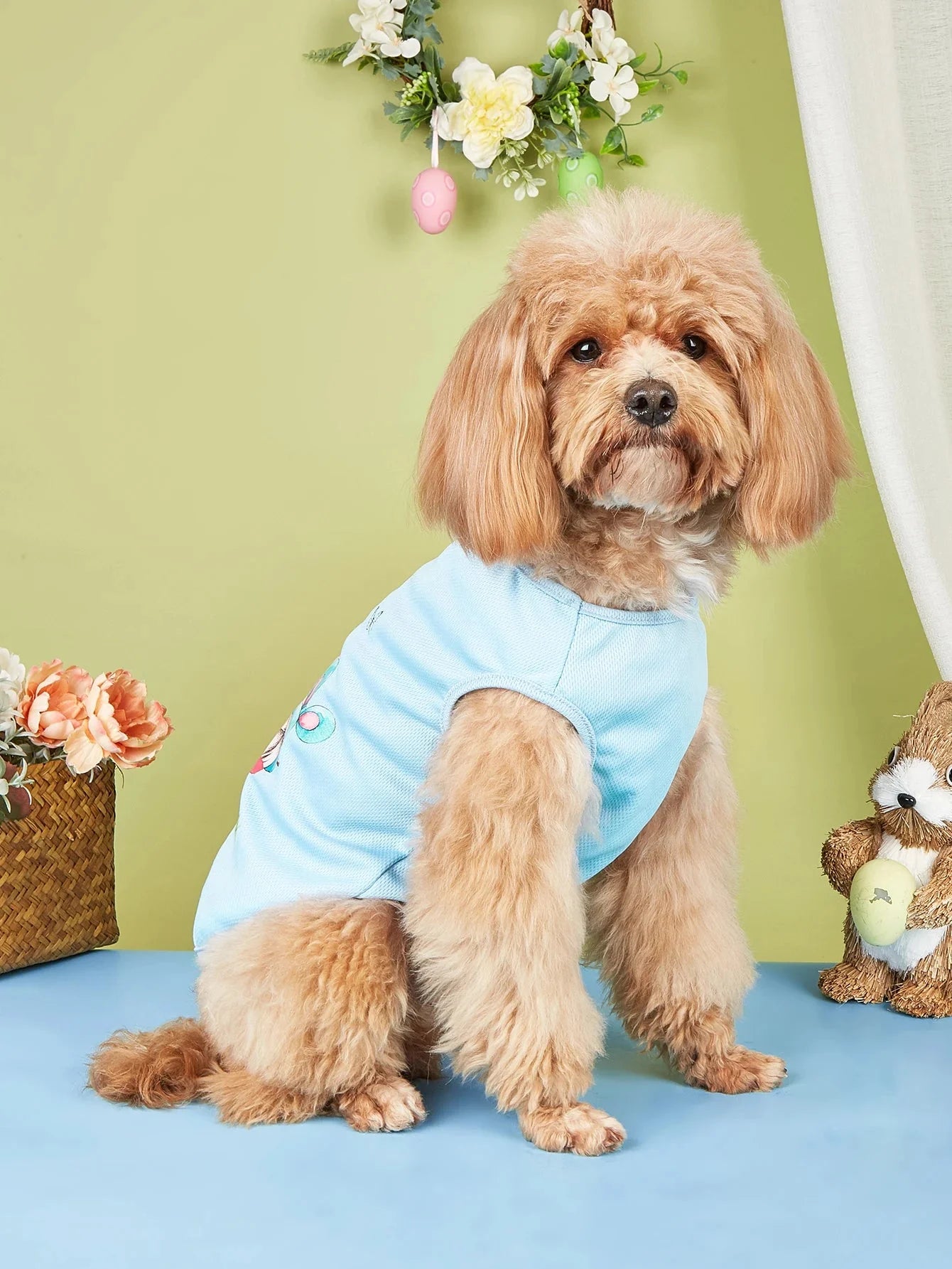 Easter Specials - Blue Dog Vest