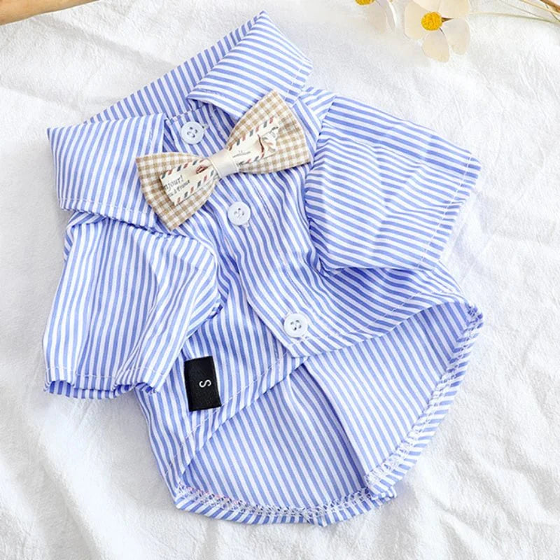 Blue Striped Bowknot Dog Shirt